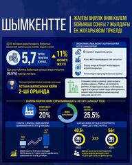 В ШЫМКЕНТЕ ЗАФИКСИРОВАН РЕКОРДНЫЙ ЗА 7 ЛЕТ РОСТ ВРП