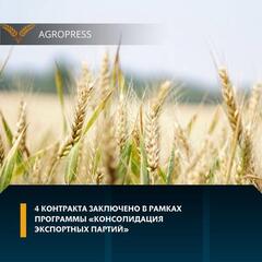 4 контракта заключено в рамках программы «Консолидация экспортных партий»