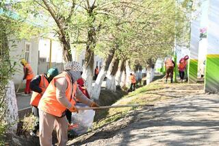 Была проведена масштабная экологическая акция 