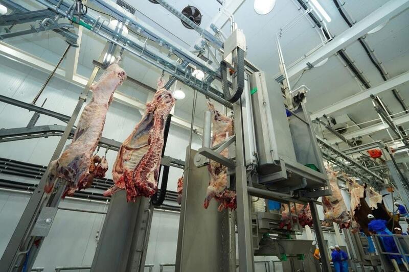 ТУРКЕСТАНСКАЯ ОБЛАСТЬ ЛИДИРУЕТ В РЕСПУБЛИКЕ ПО ПРИВЛЕЧЕНИЮ ИНВЕСТИЦИЙ В СЕЛЬСКОХОЗЯЙСТВЕННУЮ ОТРАСЛЬ