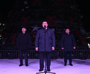 Зажглась новогодняя елка