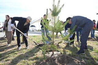 «Таза Қазақстан»: в рамках общеобластного субботника в Жетісу посадили свыше 8 тысяч деревьев