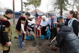 В Талдыкоргане в честь Дня обновления высажено 500 саженцев деревьев Казахстан отмечает Наурызнама и шестой день праздничной декады называется «Жаңару күні».