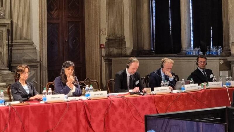 Венецианская комиссия обсудила законодательные инициативы более шести стран