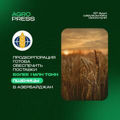 Продкорпорация готова обеспечить поставки более 1 млн тонн пшеницы в Азербайджан