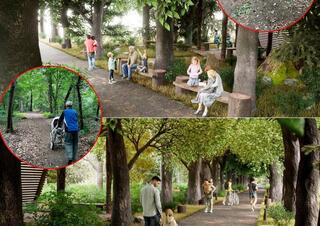 Акимат Алматы представил обновлённый дизайн Рощи Баума