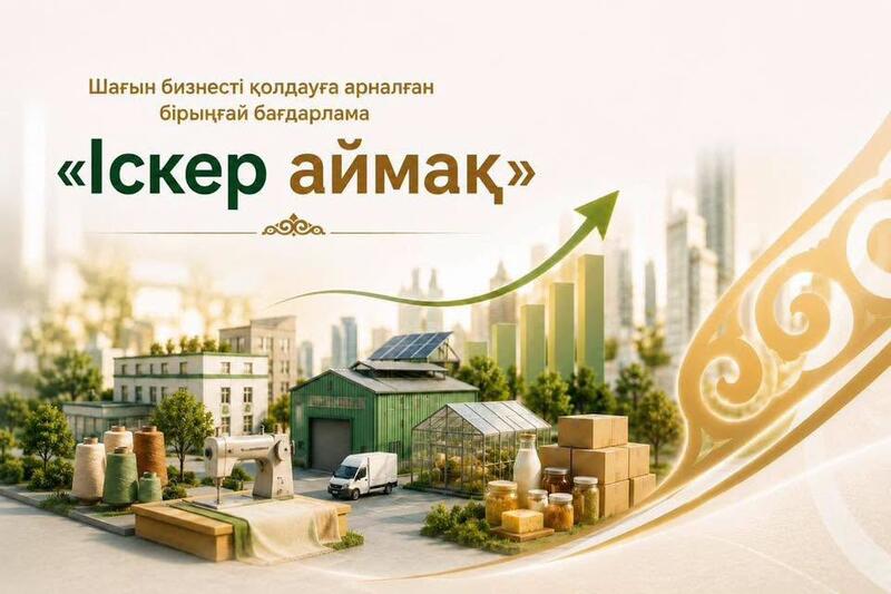 Реализация поручений Президента по поддержке МСБ: 21 млрд тенге на поддержку малого бизнеса