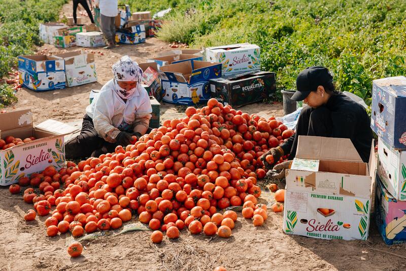 В Индерайском районе готовятся 62 тысячи тонн сена и 1 300 га зерновых для зимнего периода