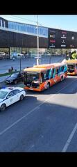 ШЫМКЕНТТЕ ҚҰРЫЛТАЙ САЙЛАУЫНА ОРАЙ АВТОБУС КЕРУЕНІ ҰЙЫМДАСТЫРЫЛДЫ