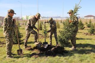 МЧС продолжает озеленять пожарные части