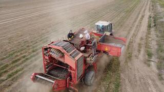 Подача заявок на формирование объемов дизтоплива на проведение весенне-полевых и уборочных работ 2026 года осуществляется с 1 по 30 декабря текущего года