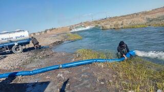 В озеро Балхаш выпустили 180 тысяч молоди сазана