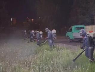 Второй тур дезинсекционных работ стартовал в Астане