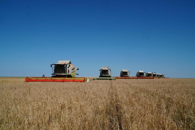 Акмолинские аграрии собрали рекордных 5 миллионов тонн зерна