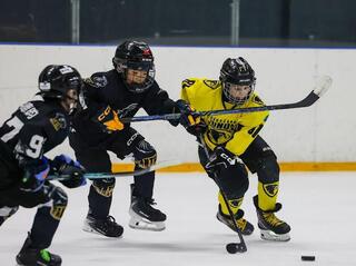 Более 200 юных хоккеистов из 5 стран приняли участие в турнире Almaty Nova Cup 2026