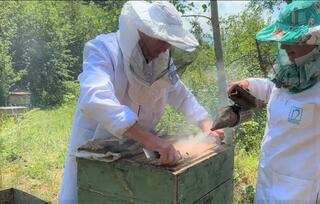 Фестиваль качки мёда прошел в Жетысу впервые