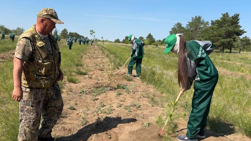 Экологическое воспитание: забота о природе – в руках молодёжи