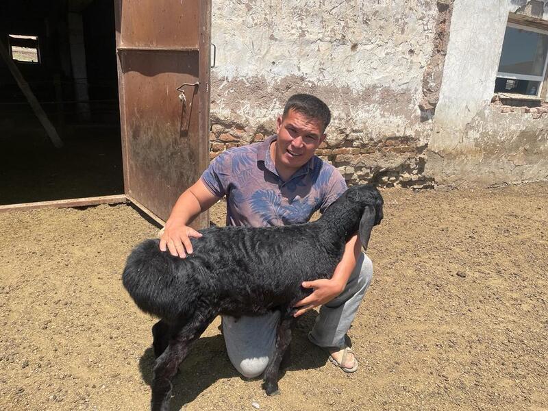 Дархан Станбеков — яркий пример современной сельской молодёжи, для которой труд на земле стал не только делом, но и призванием