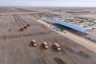 ТУРКЕСТАНСКАЯ ОБЛАСТЬ ЛИДИРУЕТ В РЕСПУБЛИКЕ ПО ПРИВЛЕЧЕНИЮ ИНВЕСТИЦИЙ В СЕЛЬСКОХОЗЯЙСТВЕННУЮ ОТРАСЛЬ