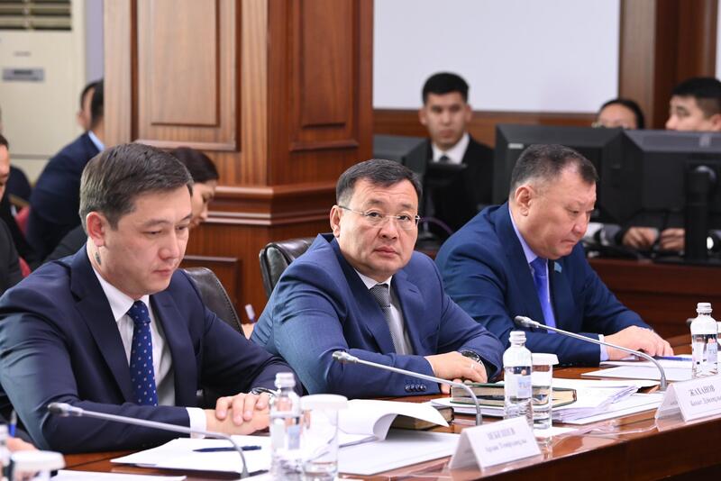 Даны поручения по вопросам обсужденным на заседании Правительства