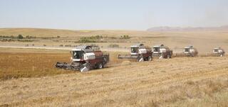 Алматинская область сохранила рост в аграрном секторе — более 534 млрд тенге за 9 месяцев