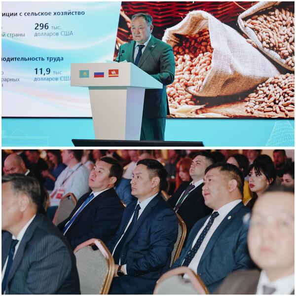 Южный Урал и Казахстан: новые горизонты приграничного сотрудничества
