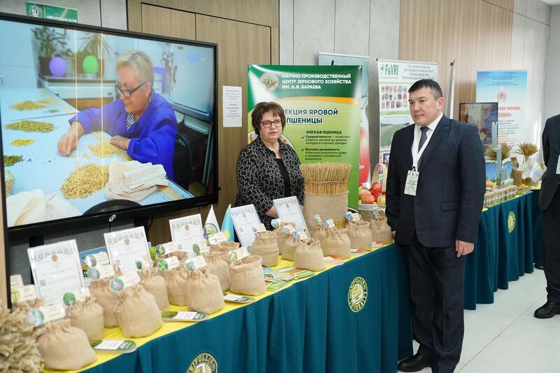 В Астане обсудили развитие отечественного семеноводства
