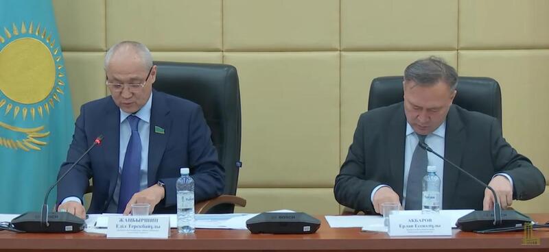 Развитие внутристрановой ценности обсудили в Мажилисе