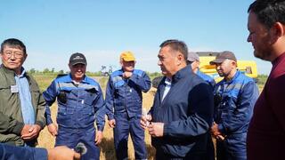 Аграрии Акмолинской области начали уборку озимой пшеницы