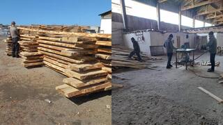 Более сотни осужденных получили работу в области Абай