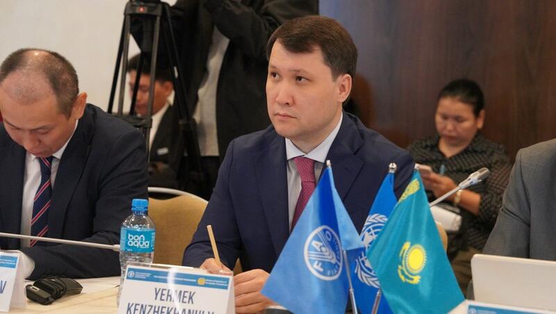 МСХ РК и ФАО запускают три проекта по развитию агропромышленного комплекса Казахстана
