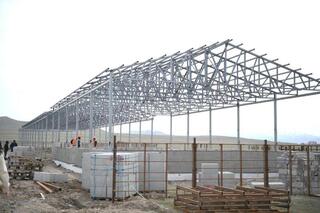 В Алматинской области построят завод по переработке шерсти мощностью более 2 тыс. тонн в год