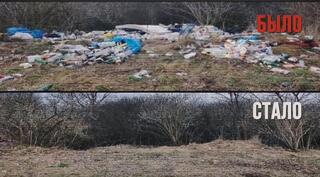 МВД: 1256 стихийных свалок ликвидированы по результатам проверок