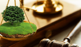 ИЗВЕЩЕНИЕ о проведении конкурса по предоставлению права временного возмездного землепользования (аренды) для ведения крестьянского или фермерского хозяйства, сельскохозяйственного производства в Актогайском районе Карагандинской области