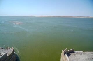 ТУРКЕСТАН: В ШАРДАРИНСКОМ РАЙОНЕ ПРИНЯТЫ ДОПОЛНИТЕЛЬНЫЕ МЕРЫ В СВЯЗИ С НЕХВАТКОЙ ВОДЫ