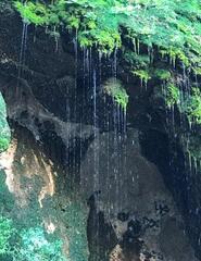 САКРАЛЬНЫЕ МЕСТА ТУРКЕСТАНА - НОВЫЙ ЭТАП В ДУХОВНОМ ТУРИЗМЕ