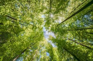 В Алматинской области расширяют экологические инициативы