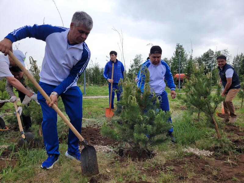 «Таза Қазақстан»: к 100-летию Ассоциации «Динамо» в столице высажено 150 саженцев сосны