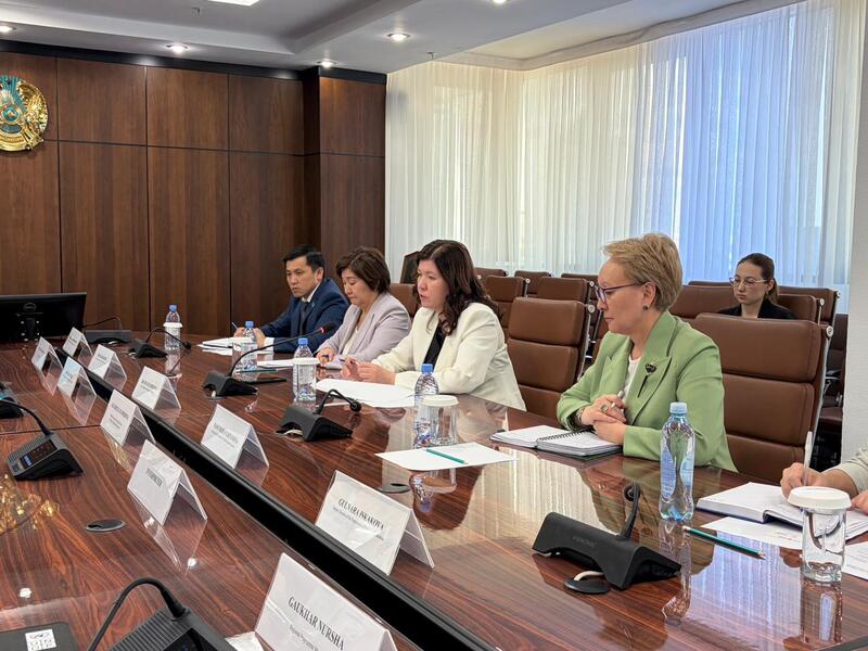 Министр просвещения РК Жулдыз Сулейменова провела встречу с Постоянным представителем ПРООН в Казахстане