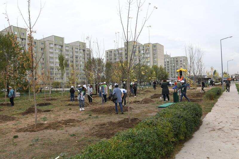 298 тысяч деревьев высадят осенью в Алматы