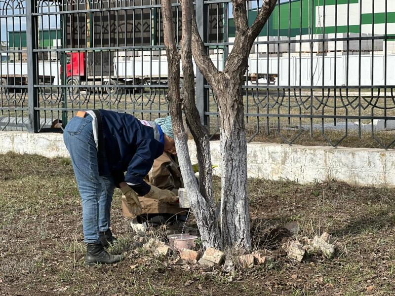 «Таза Қазақстан»: на территории столичного завода прошла масштабная уборка
