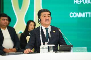 Первый Диалог по платформе экологического сотрудничества в рамках ОЭС состоялся в Астане