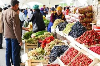 Заключительная ярмарка в Астане: аграрии Акмолинской, Костанайской и Улытауской областей представят свою продукцию