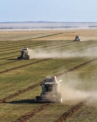 22,7 млн тонн зерновых намолочено в Казахстане