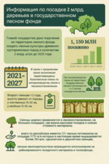 Информация по посадке 2 млрд. деревьев в государственном лесном фонде