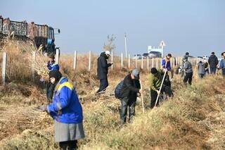 ТУРКЕСТАН: В ЖЕТЫСАЙ ПРОШЕЛ МАСШТАБНЫЙ СУББОТНИК, ПОСАЖЕНО 7000 САЖЕНЦЕВ