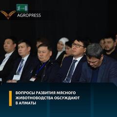 Вопросы развития мясного животноводства обсуждают в Алматы