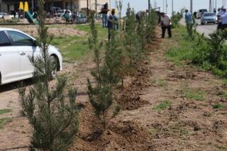 «ТАЗА ҚАЗАҚСТАН»: В САРЫАГАШСКОМ РАЙОНЕ ПРОШЛА АКЦИЯ ЧИСТОТЫ