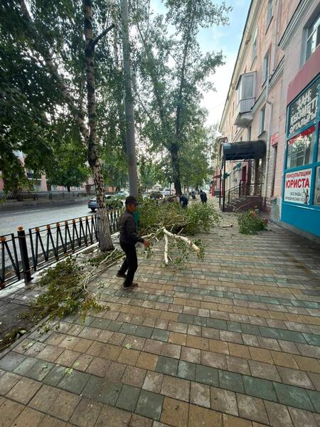 Аким ВКО поручил оперативно устранить последствия ливня в области