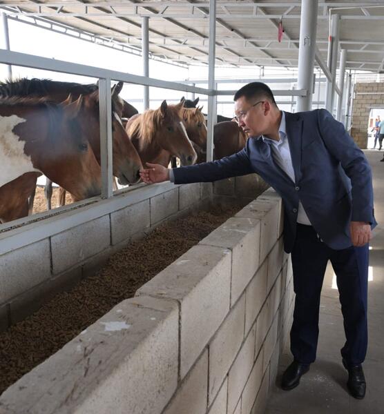 Аким области Асаин Байханов посетил с рабочей поездкой Щербактинский район